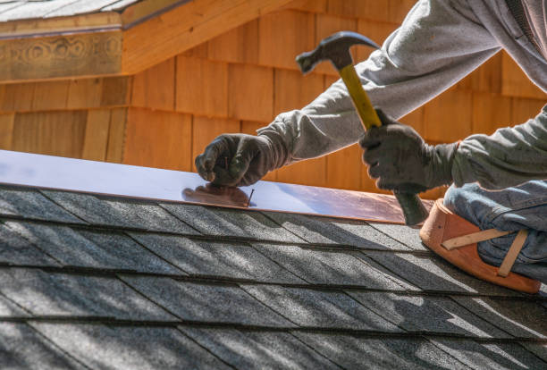 Best Chimney Flashing Repair  in Auburn, KS