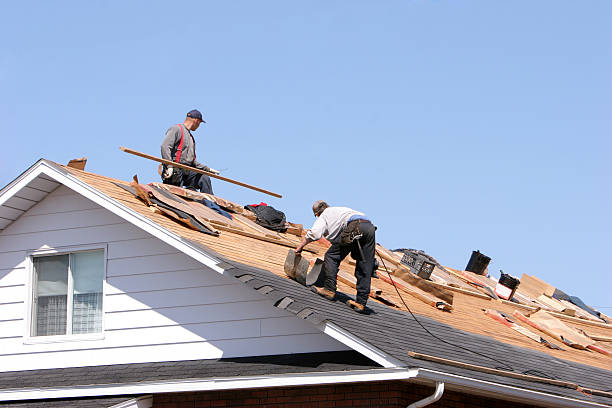 Best Roof Leak Repair  in Auburn, KS